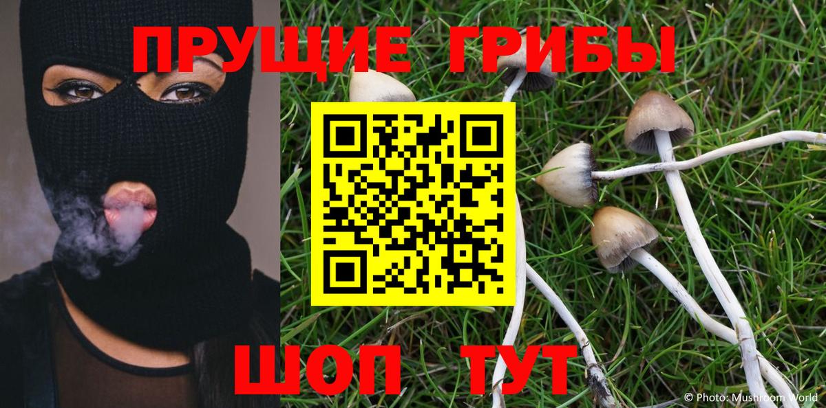 Галлюциногенные грибы Magic Shrooms  Вход с VPN  где купить   Вятские Поляны 