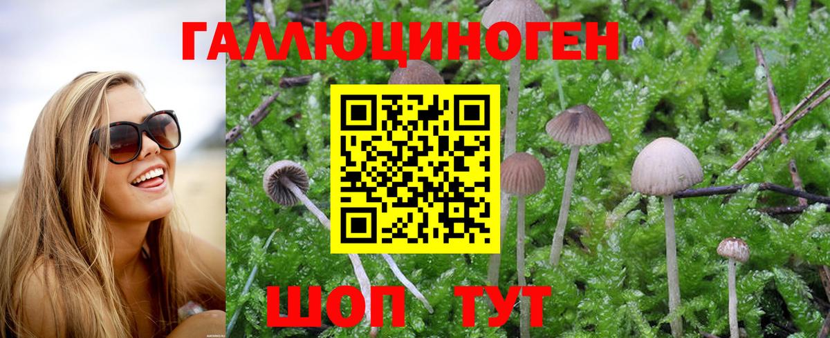 Псилоцибиновые грибы Magic Shrooms Вятские Поляны